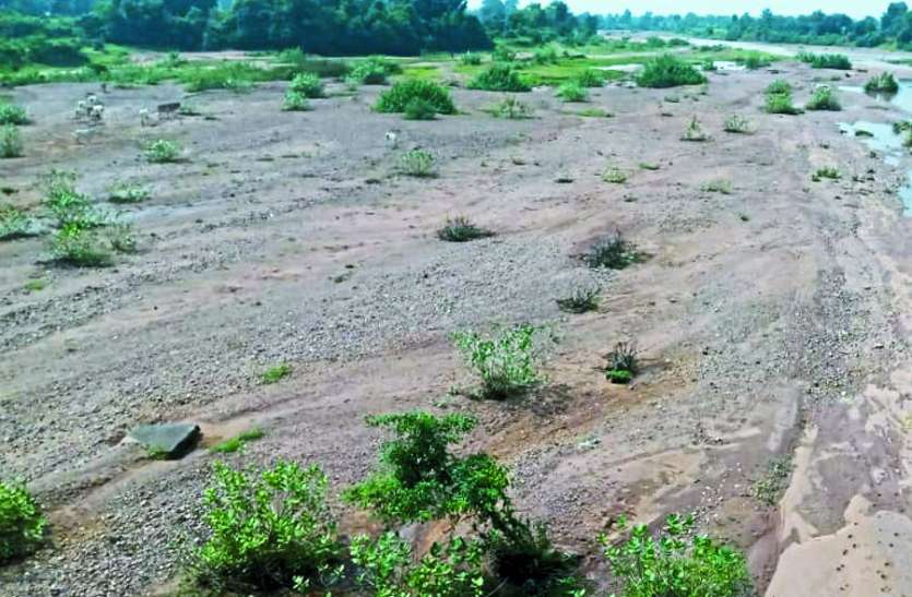 37 इंच बारिश के बाद भी नर्मदा की एक दर्जन सहायक नदियां सूखी, सिर्फ जहां रेत वहां दिख रहा पानी 37 इंच बारिश के बाद भी नर्मदा की एक दर्जन सहायक नदियां सूखी, सिर्फ जहां रेत वहां दिख रहा पानी