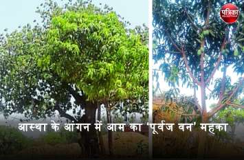 tribal families established sira bawsi with plantation in banswara आदिवासी परिवारों ने ‘सिरा बावसी’ की स्थापना के साथ किए पौधरोपण, बदली गांव की तस्वीर और बन गया ‘पूर्वज वन’