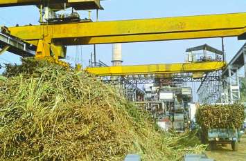problems to Sugarcane farmer : kishan samiti-registation-farmer problems to Sugarcane farmer : अधर में सहकारी शुुगर मिल की स्थापना