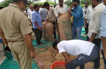 Doda-sawdust destroyed डोडा-चूरा किया नष्ट
