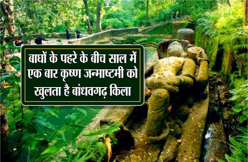 ये है दुनिया का एकलौता मंदिर जो 365 दिन में सिर्फ खुलता है एक बार, 2 हजार साल से कायम है ये परम्परा ये है दुनिया का एकलौता मंदिर जो 365 दिन में सिर्फ खुलता है एक बार, 2 हजार साल से कायम है ये परम्परा