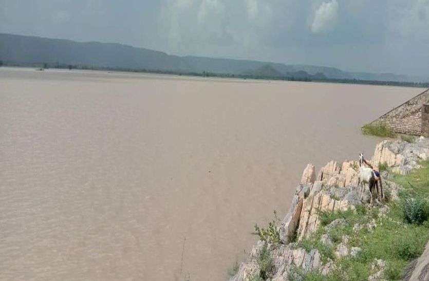 सावन में नहीं बुझी बांधों की प्यास, अब भादो से आस सावन में नहीं बुझी बांधों की प्यास, अब भादो से आस