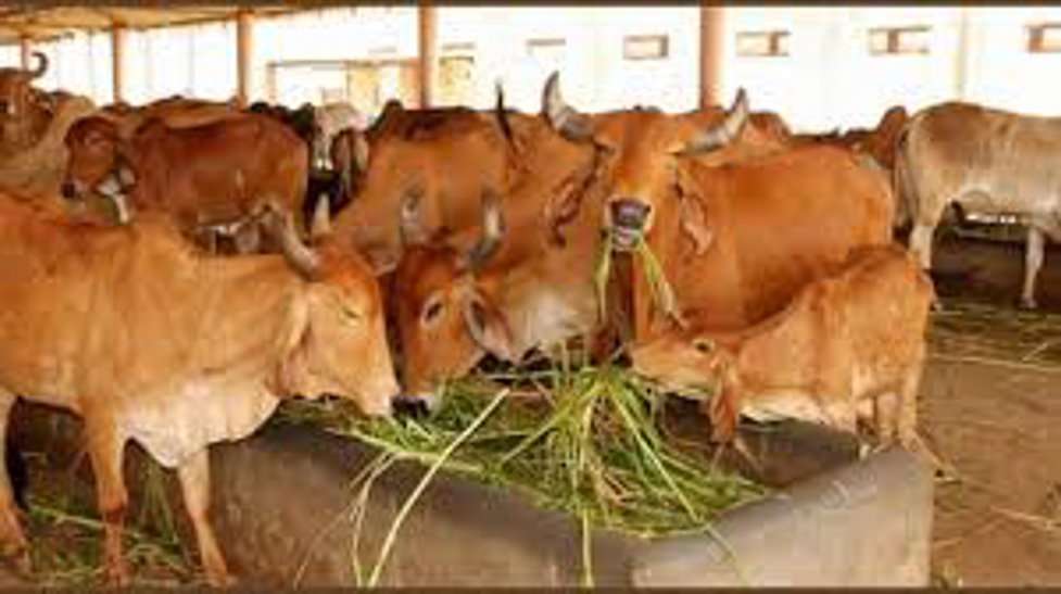 यहां कांग्रेस सरकार का वादा पूरा करने में जुटा प्रशासन