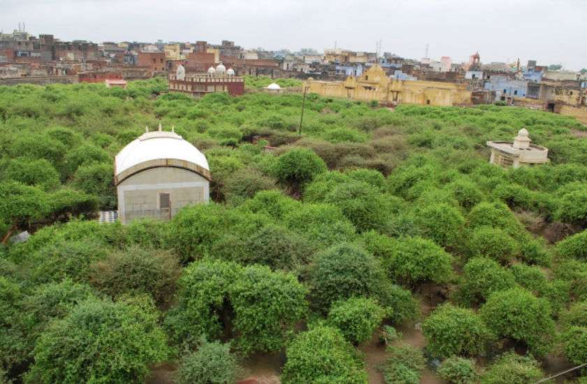 marhura2344.jpg