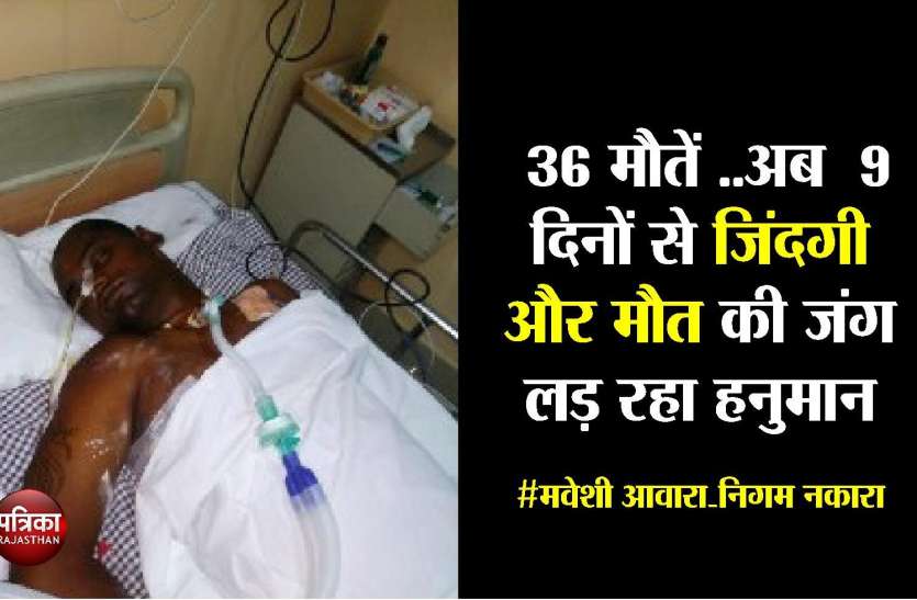 आवारा मवेशियों ने हनुमान को पहुंचाया अस्पताल , सोशल मीडिया पर इलाज के लिए राशि जुटा रहे दोस्त आवारा मवेशियों ने हनुमान को पहुंचाया अस्पताल , सोशल मीडिया पर इलाज के लिए राशि जुटा रहे दोस्त