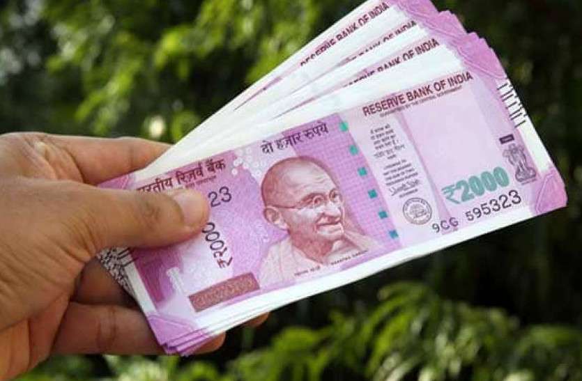 इस जानवर का पता बताने वाले को मिलेगा पांच हजार रुपया, आप भी हो सकते हैं हकदार, पढि़ए खबर... इस जानवर का पता बताने वाले को मिलेगा पांच हजार रुपया, आप भी हो सकते हैं हकदार, पढि़ए खबर...