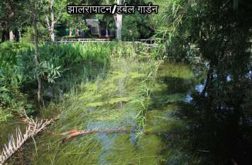 Vegetation immersed in water since 9 days Disaster management is not i 9 दिन से पानी में डूबी वनस्पति की आपदा प्रबंधन नहीं ले रहा सुध
