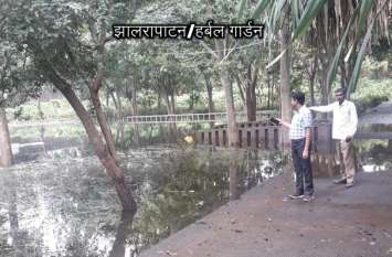 Mostly plants of rare flora destroyed by waterlogging in the herbal ga हर्बल गार्डन में पानी के भराव से दुर्लभ वनस्पतियों के ज्यादातर पौधे नष्ट