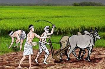 Haryana: आखिर कैसे दोगुनी होगी किसानों की आय Haryana: आखिर कैसे दोगुनी होगी किसानों की आय