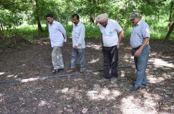 Panther In Gulabbagh, Panther Terror, Udaipur चौकीदार बोला, आंखें कमजोर नहीं, मैंने देखा पैंथर का जोड़ा, उन्हें भगाने के लिए आग भी लगाई