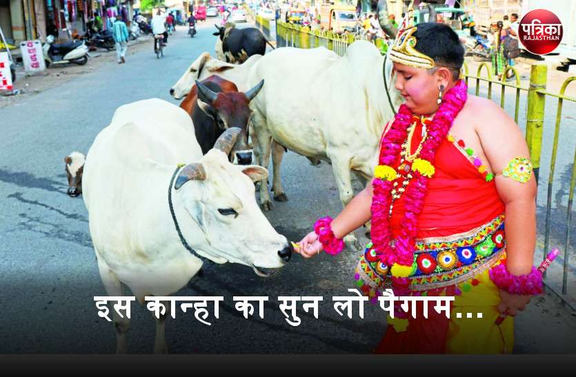 गोपाल का पैगाम : ‘बांसवाड़ा की सडक़ों पर घूम रहे पशुओं को रखने की व्यवस्था कराएं, आमजन की सुरक्षा का संकल्प उठाएं’ गोपाल का पैगाम : ‘बांसवाड़ा की सडक़ों पर घूम रहे पशुओं को रखने की व्यवस्था कराएं, आमजन की सुरक्षा का संकल्प उठाएं’