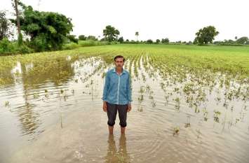 पानी से भरे खेतों में चौपट हो रही फसलों के साथ किसानों की उम्मी पानी से भरे खेतों में चौपट हो रही फसलों के साथ किसानों की उम्मी