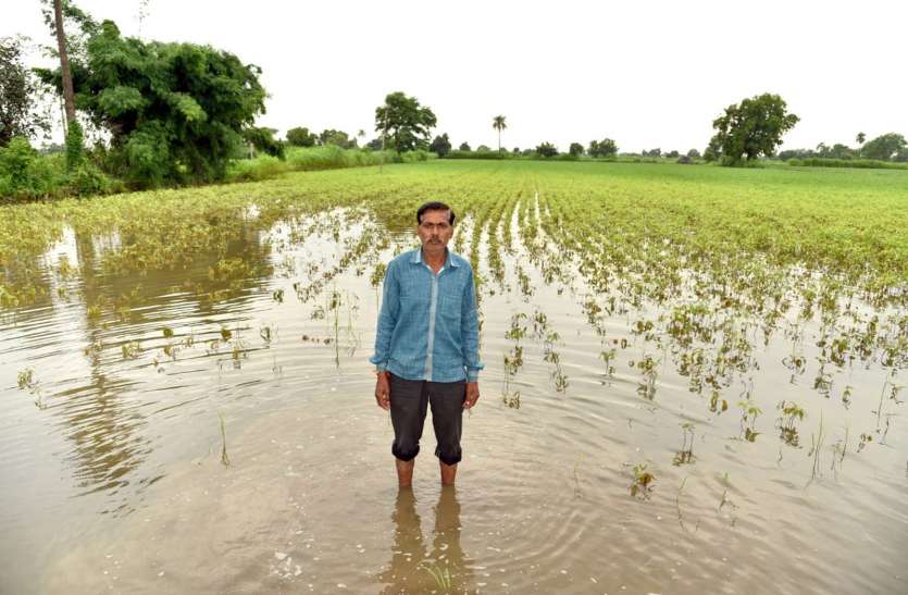 पानी से भरे खेतों में चौपट हो रही फसलों के साथ किसानों की उम्मी पानी से भरे खेतों में चौपट हो रही फसलों के साथ किसानों की उम्मी