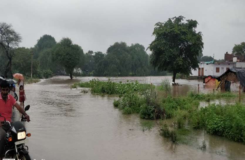 rain 2019