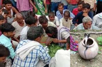Poisonous snake bites innocent child while feeding, dies दूध पिलाने के दौरान जहरीले सांप ने मासूम बच्ची को काटा, अस्पताल ले जाते समय रास्ते में हो गई मौत