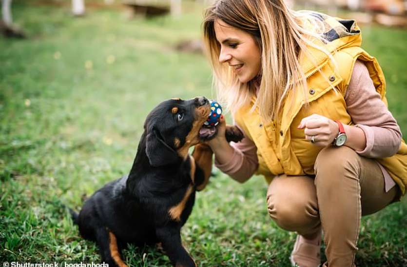 dog World Dog Day: अध्ययन में खुलासा, अपने मालिक को स्वस्थ रखते हैं पालतू डॉग्स