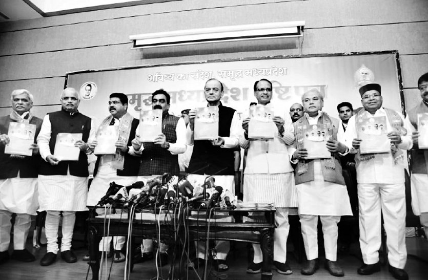 Arun Jaitley was the strategist of BJP's victory in Madhya Pradesh स्मृति शेष... प्रदेश में भाजपा की जीत के शिल्पकार थे अरुण जेटली