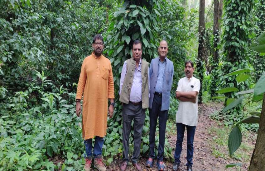कोंडागांव के किसान की कमाई जान प्रधान आयकर महानिदेशक रह गए हैरान, पहुंच गए देखने खेत