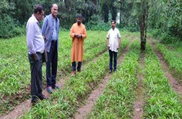 Income Tax Principal Director General shocked to know farmer income कोंडागांव के किसान की कमाई जान प्रधान आयकर महानिदेशक रह गए हैरान, पहुंच गए देखने खेत
