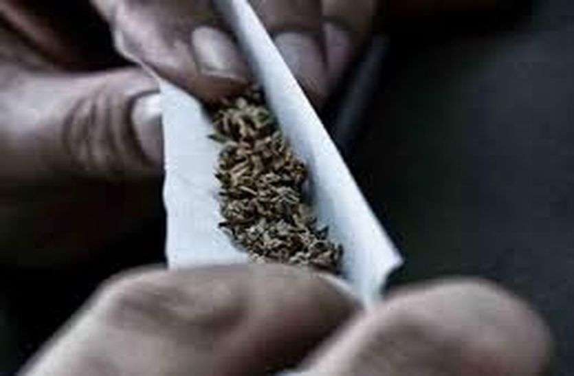 गांजा मंगाने वाली की तलाश में जुटी पुलिस गांजा मंगाने वाली की तलाश में जुटी पुलिस