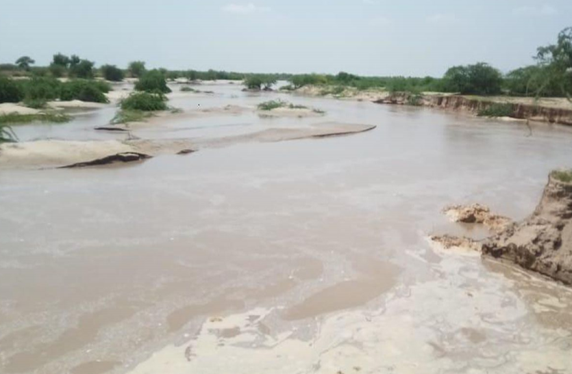 नेहड़ से पाकिस्तान पहुंचा लूनी नदी का पानी नेहड़ से पाकिस्तान पहुंचा लूनी नदी का पानी