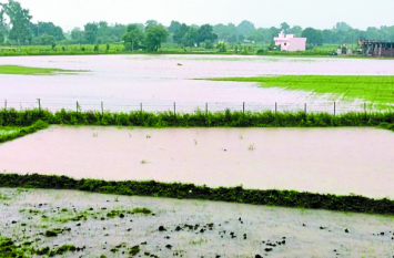 24 घंटे की बारिश से नदी-नाले उफान पर, पुल के ऊपर से बह रहा पानी, संपर्क टूटा 24 घंटे की बारिश से नदी-नाले उफान पर, पुल के ऊपर से बह रहा पानी, संपर्क टूटा