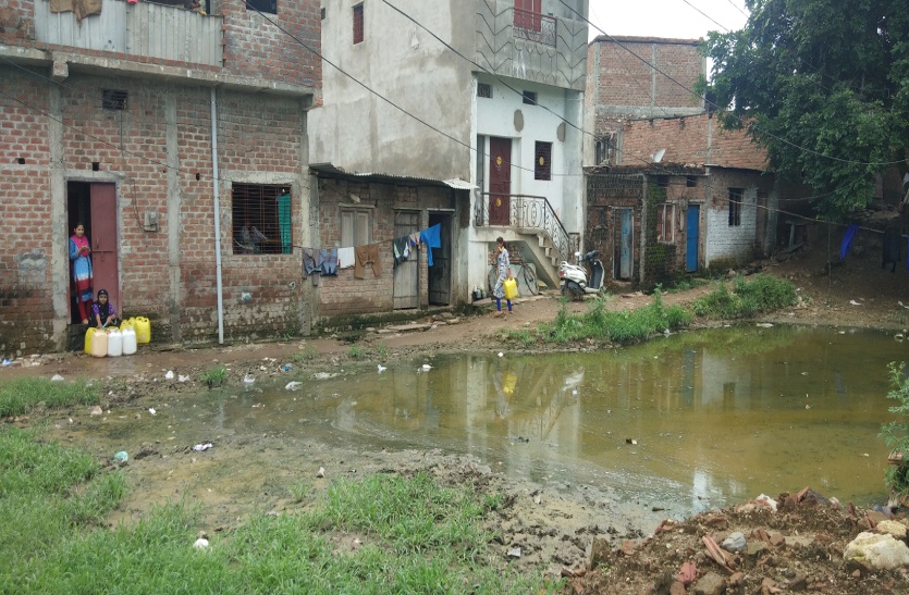 Alert on getting malaria positive in Shajapur Alert on getting malaria positive in Shajapur