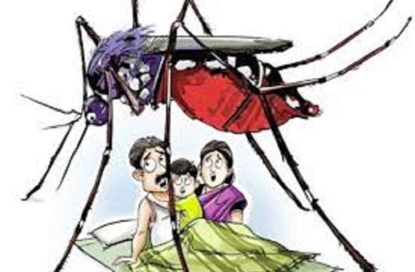 KMC- डेंगू अभियान : नेश्नल लाइब्रेरी को नोटिस, एसएसकेएम अस्पताल पास KMC- डेंगू अभियान : नेश्नल लाइब्रेरी को नोटिस, एसएसकेएम अस्पताल पास