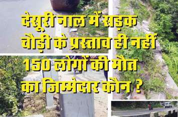 Desuri nal road excident in rajsamand देसूरी नाल में 150 लोगों की मौत का जिम्मेदार कौन ?