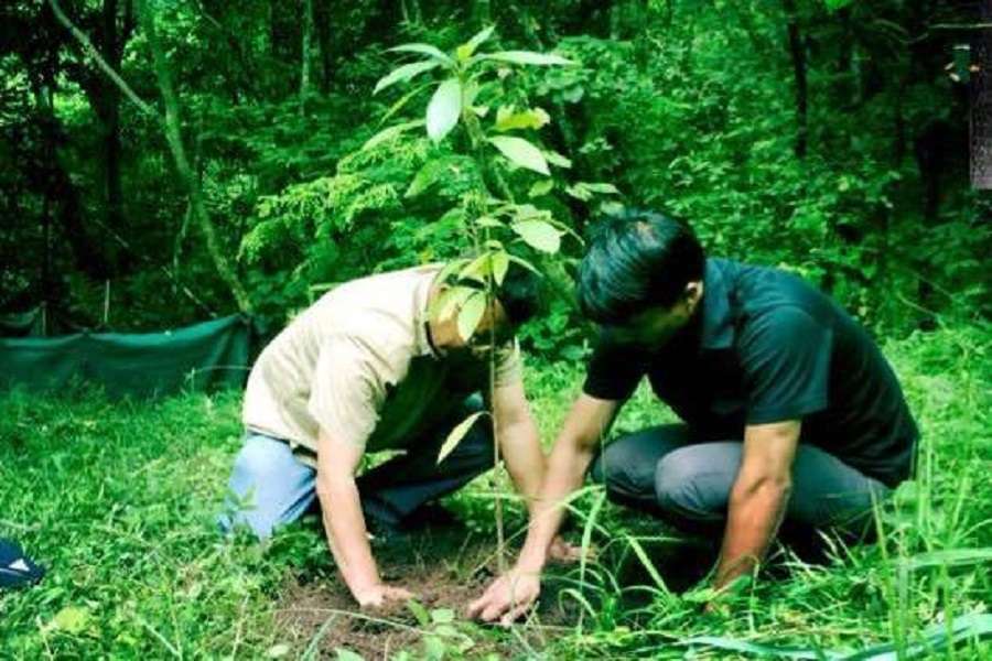अकेले दम पर उगाया जंगल, सब चेते तो धरती पर होगा मंगल