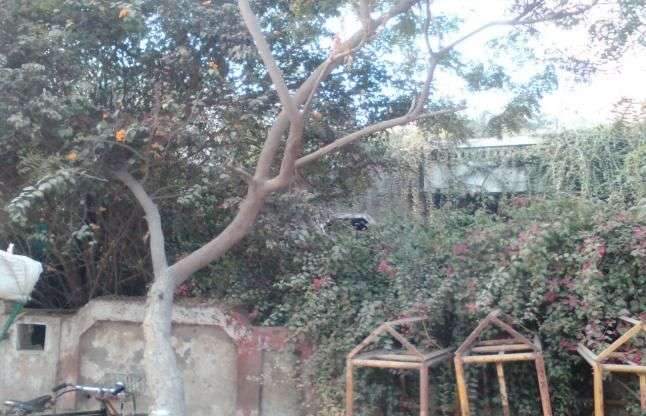 nithari-house-2-1483357648_835x547.jpg