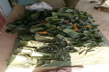 NGO in Nagaland is saving Earth धरती के दोस्त बना रहे दुनिया खास, प्लास्टिक को 'ना', नेचर के आसपास