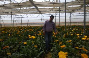 Engineer left Corporate job for farming श्रावस्ती के आसिफ इंजीनियर की नौकरी के साथ कर रहे हैं फूलों की खेती, हर महीने कमा रहे हैं लाखों