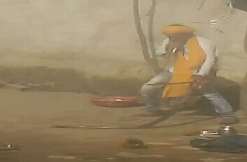 naag and nagin revenge : cobra was cut while coming there