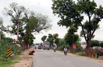 Jaipur-Bhilwara Mega highway make accident zone इस स्टेट हाइवे पर जाएं संभलकर, 7 माह, 16 मौतें