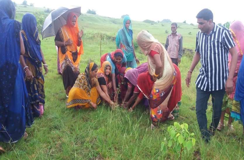 Women pledged to make this hill green इस पहाड़ी को हरा-भरा करने महिलाओं ने लिया संकल्प