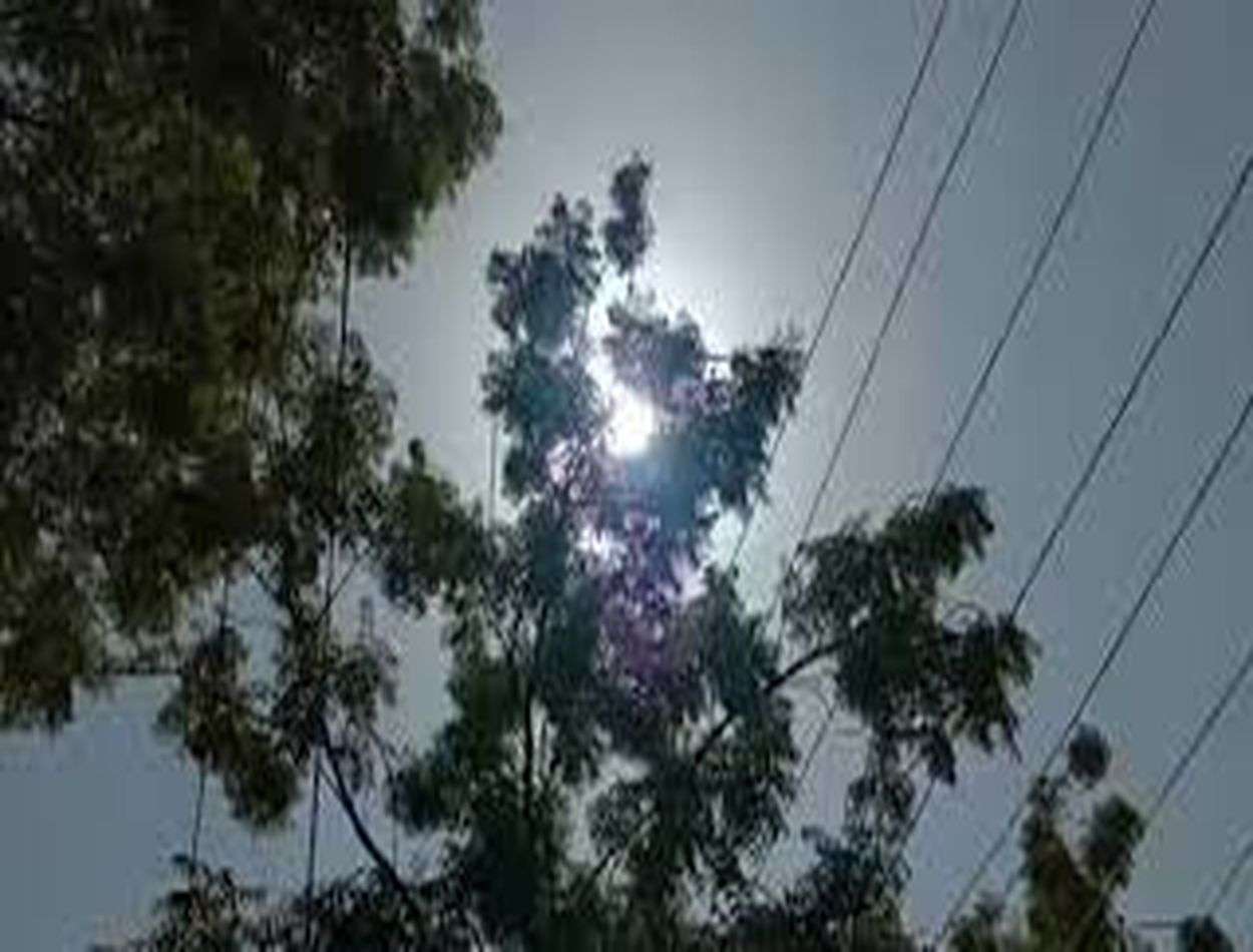 bikaner weather