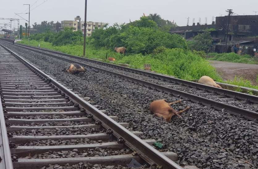 RAIL NEWS: धमधमाती निकली दुरंतो एक्सप्रेस और चले गए 15 के प्राण RAIL NEWS: धमधमाती निकली दुरंतो एक्सप्रेस और चले गए 15 के प्राण