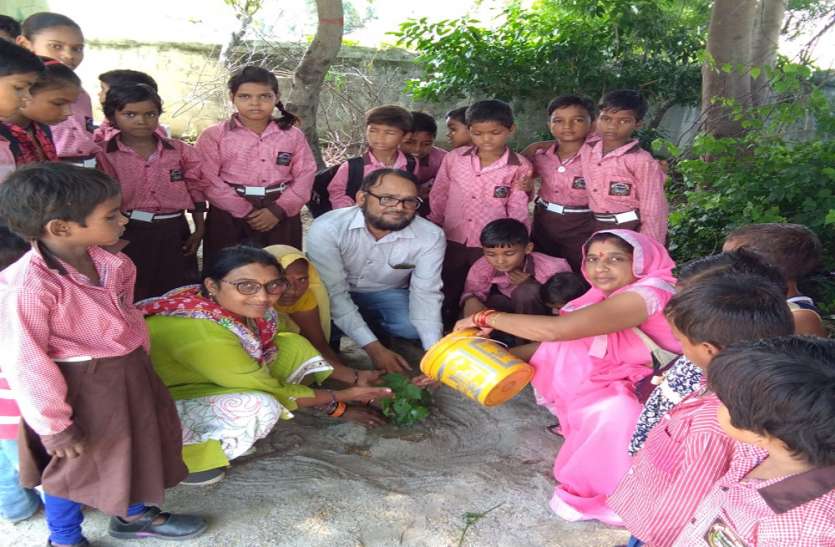 sahjan contains more protien than curd and more calcium than milk healthy diet: इस सब्जी में बड़े-बड़े गुण, दही से दो गुना प्रोटीन और दूध से चार गुना ज्यादा कैल्सियम