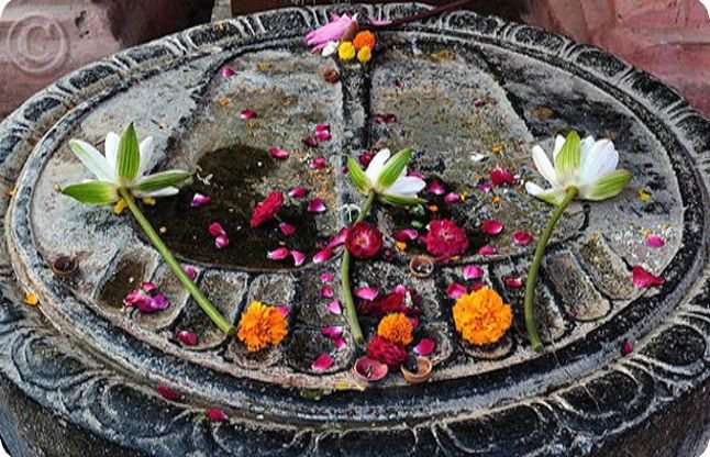 pitru paksha 2019