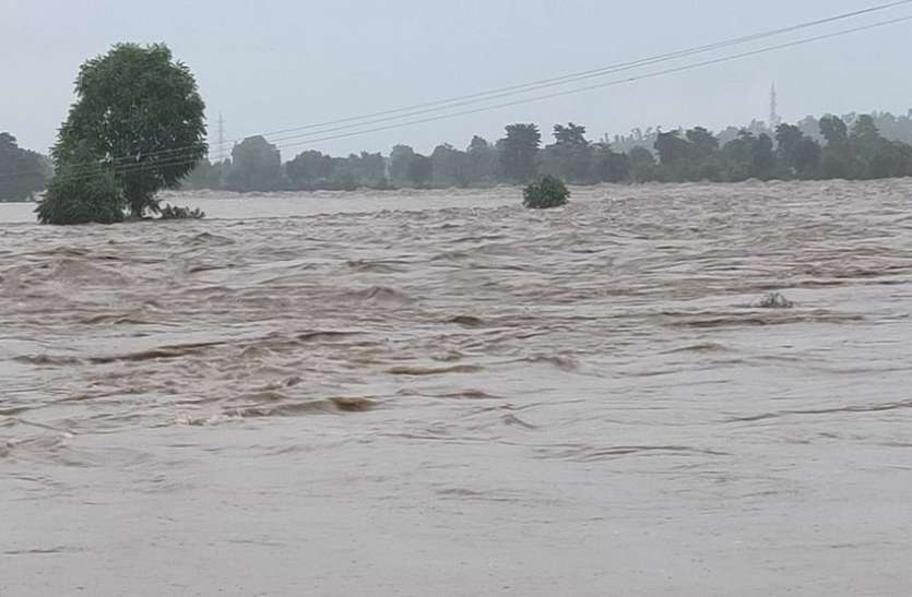 flood in khandwa news एक साथ तीन नदियां उफनाई, आई बाढ़, पानी से मकान ढहे