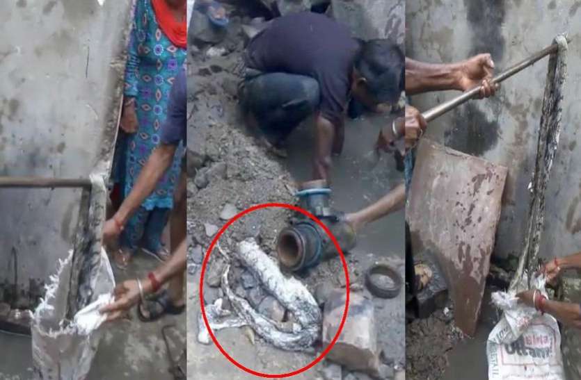 कोटा में इस कॉलोनी में अजगर ने रोका कई घरों का पानी कोटा में इस कॉलोनी में अजगर ने रोका कई घरों का पानी