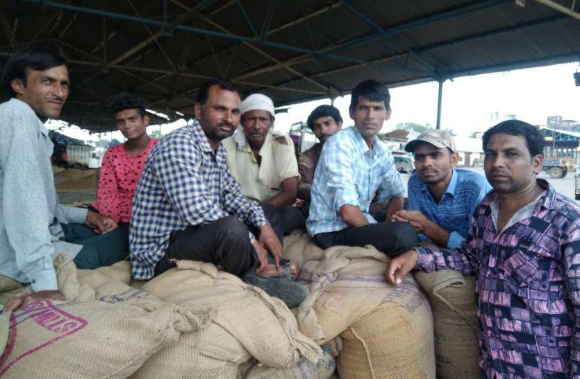 एक माह बाद फिर करनी है बोवनी, इसलिए आंख बंद कर रहे यह काम किसान एक माह बाद फिर करनी है बोवनी, इसलिए आंख बंद कर रहे यह काम किसान