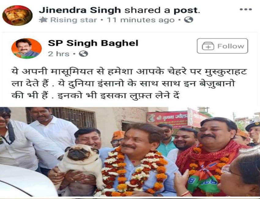 भाजपा सांसद प्रो. एसपी सिंह बघेल की बेजुबान मोहब्बत, पोस्ट हो रहा जमकर वायरल