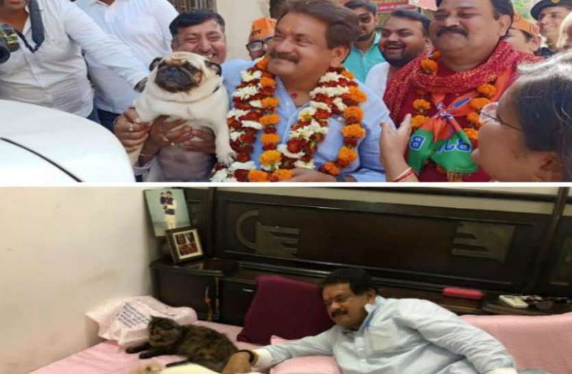 भाजपा सांसद प्रो. एसपी सिंह बघेल की बेजुबान मोहब्बत, पोस्ट हो रहा जमकर वायरल भाजपा सांसद प्रो. एसपी सिंह बघेल की बेजुबान मोहब्बत, पोस्ट हो रहा जमकर वायरल