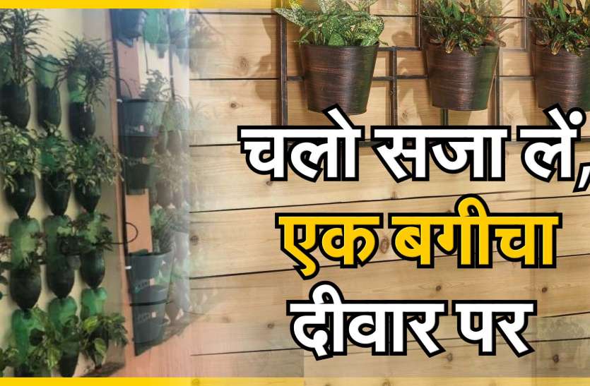 वर्टिकल गार्डन से लाएं हरियाली वर्टिकल गार्डन से लाएं हरियाली