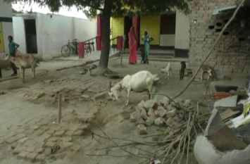 highly negligence in primary school by villagers in mau देखो सरकार, ये स्कूल बना तबेला, छात्रों के पठन पाठन में खलल डालती है बकरियां