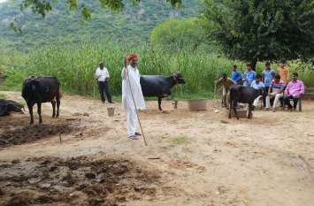 Panther attacked, people imprisoned in homes कैसा भय : दिन—रात हाथों में लाठियों लेकर पुरुष करते रखवाली, महिलाएं घरों में कैद