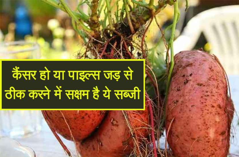 Cancer To Piles Treatment Home Jimikand Plant Effective