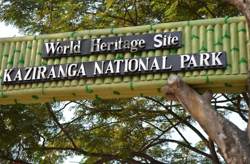 World Longest Flyover
